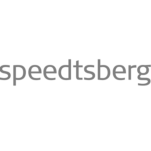 Logo of Speedtsberg.dk