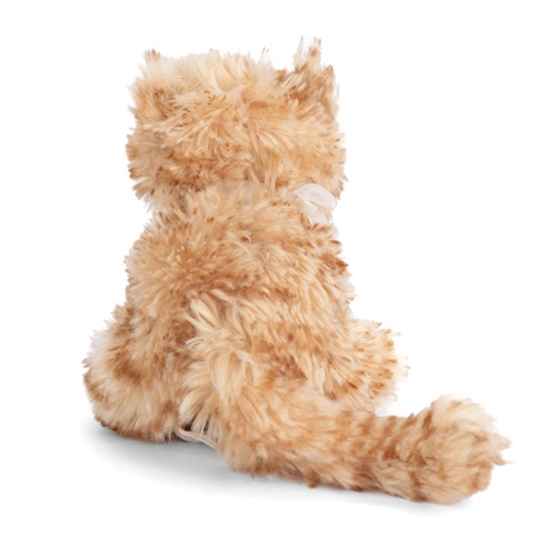 Katten Little Loke