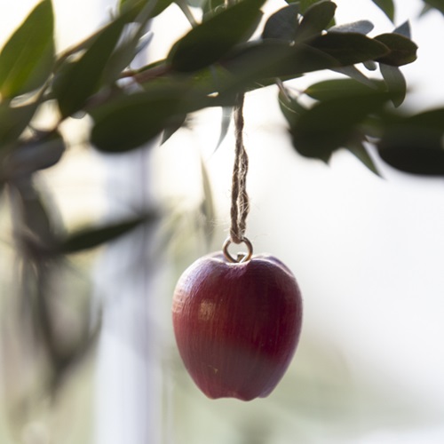Hängande äpple i trä