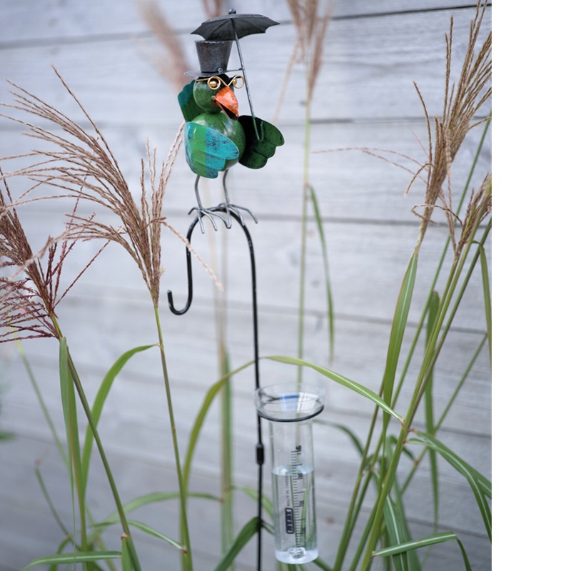 Regnmätare Fågel inkl. mätglas