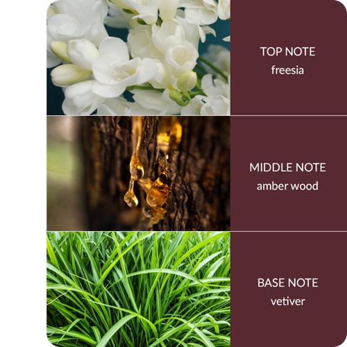Stort  Amber Wood & Vetiver