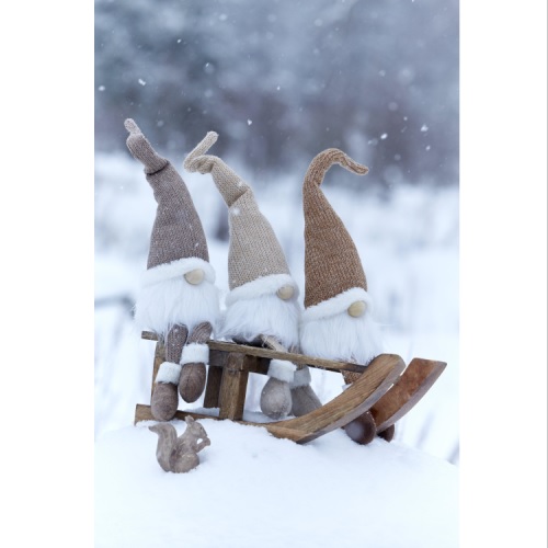 Tomte Stig