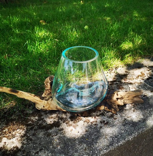 Glasskål på trädrot 