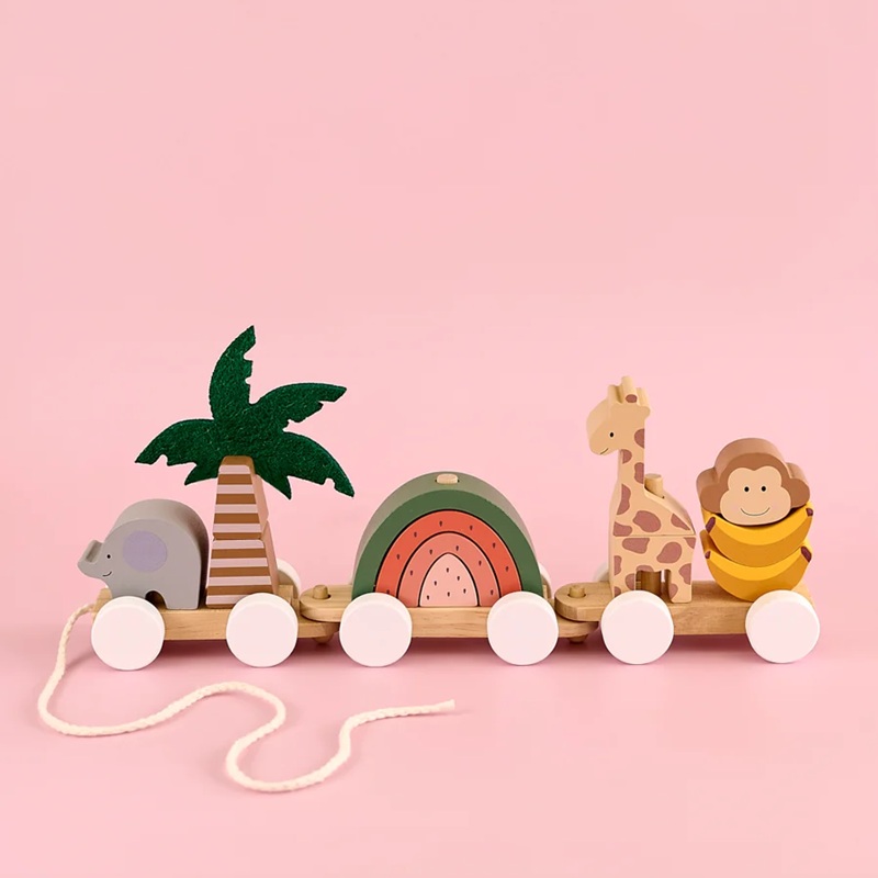 Dragtåg Safari med klossar