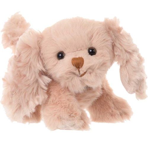 Hunden baby Tiffany
