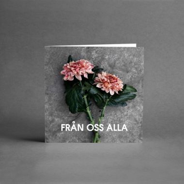 <span class="jp_product_title">Från oss alla</span>