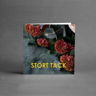 <span class="jp_product_title">Stort Tack</span>