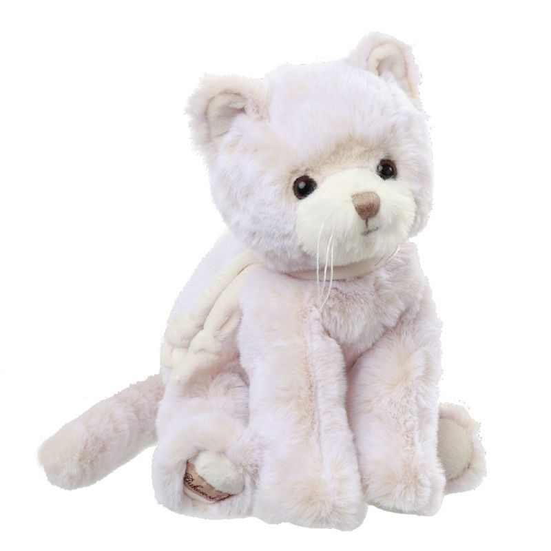 Katten Cute Catty