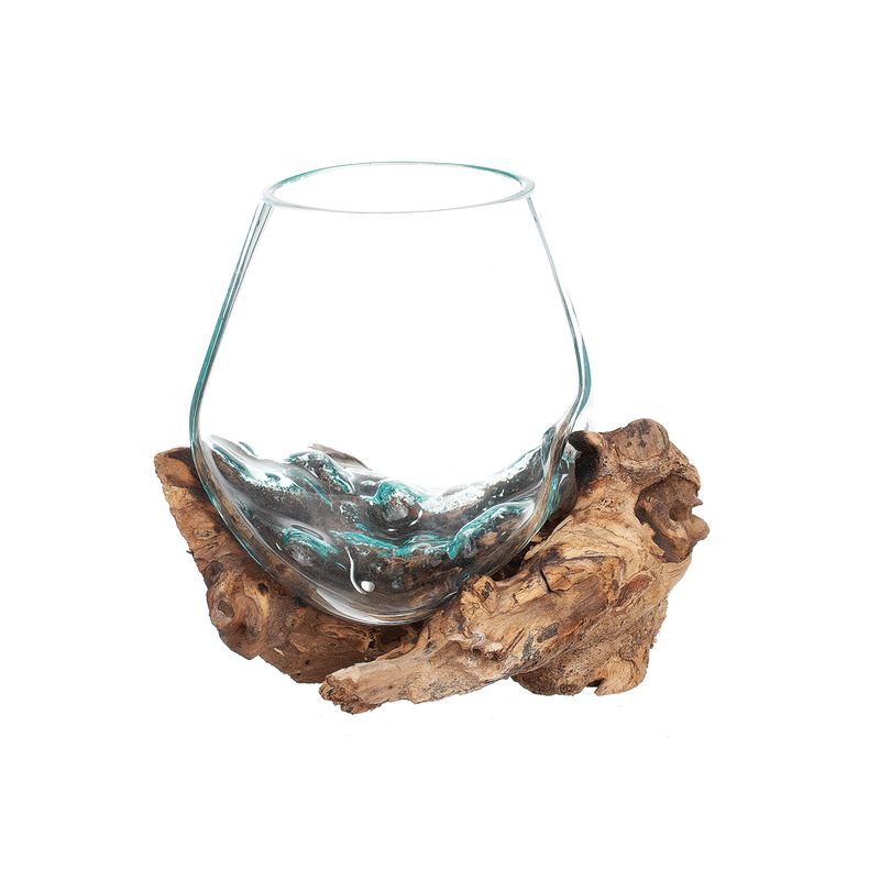 Glasskål på trädrot