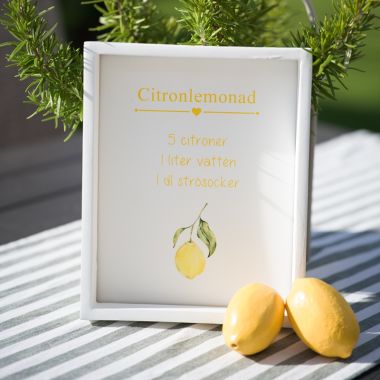 <span class="jp_product_title">Tavla Citronlemonad</span>