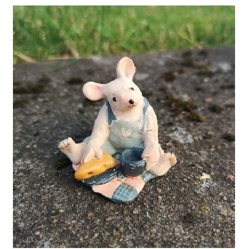 Husmus på picknick