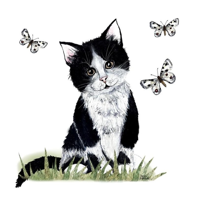 Disktrasa Katt med fjärilar